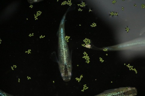 20181016173449_IMG_9775