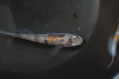 20200302161021_1V5A8298