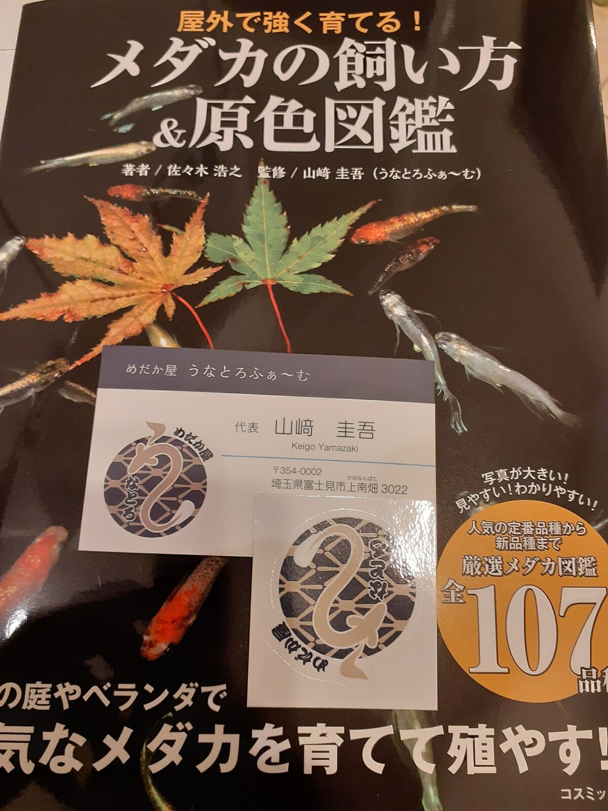 めだかの飼い方 原色図鑑 来ました 凸凹めだか凸凹