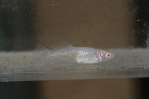 20180222143442_IMG_3506