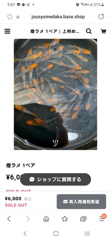 Screenshot_20220528-210743_Internet