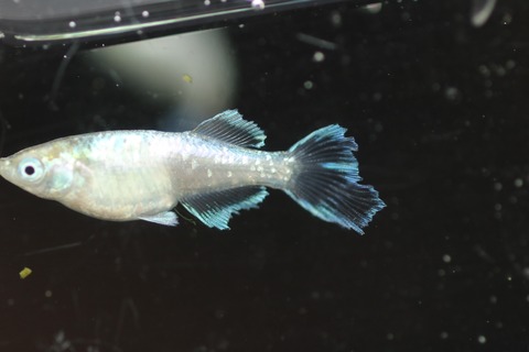 20200918143830_IMG_3511