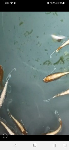 Screenshot_20240830-081942_LINE