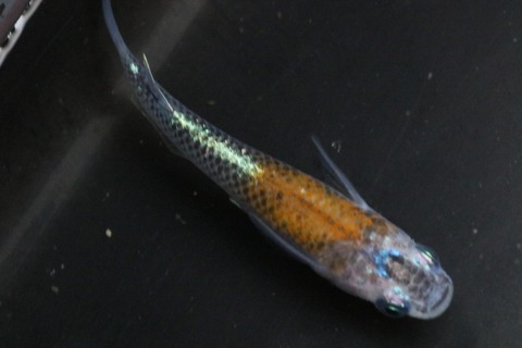 20210227104242_1V5A9959