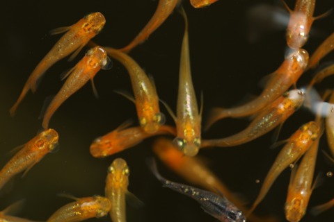 20190802104451_1V5A8309