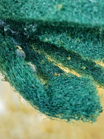 20260825_113831