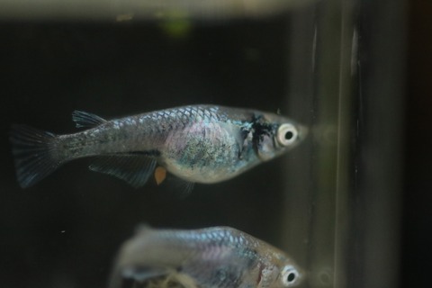 20190311175635_IMG_4505