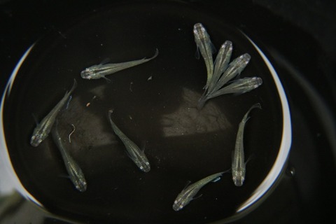 [画像:7b334f04-s.jpg]