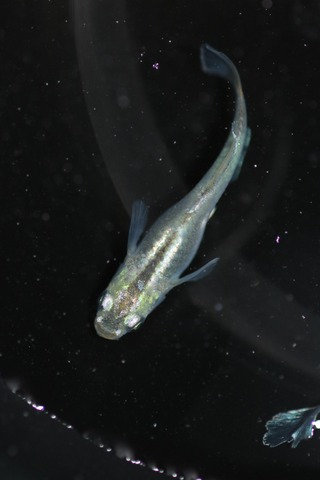 20200728185121_IMG_2062