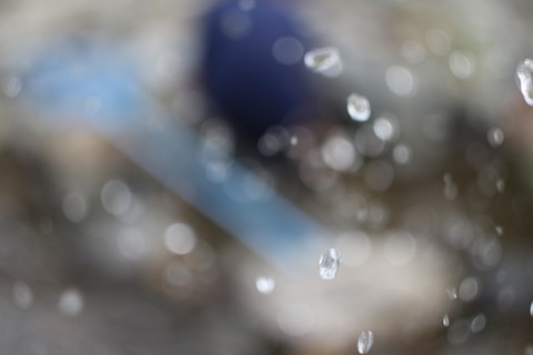 20190731122141_IMG_7909