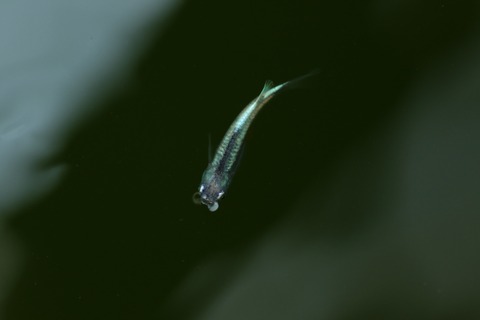 20190802110951_1V5A8389