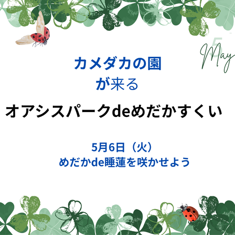 緑　白　シンプル　5月のお知らせ　Instagram投稿_20250501_073332_0000