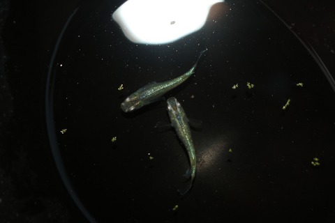 20180731185613_IMG_7705