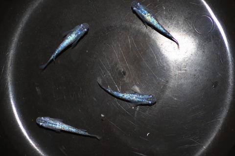 20200831190138_IMG_3086