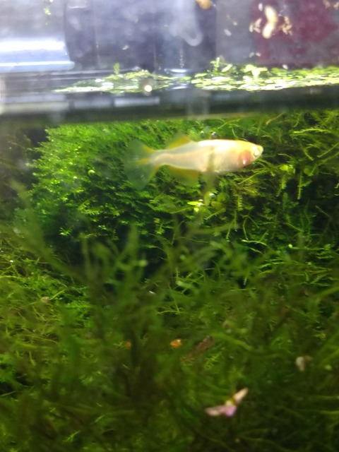 [画像:806890d1-s.jpg]