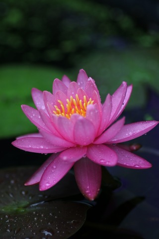 20190630095645_1V5A6904