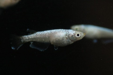 20190404181138_IMG_5778