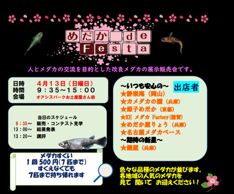 Screenshot_20250319-015134~2