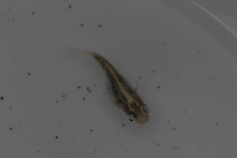 20200315125754_1V5A8879