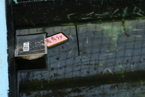 20210227100511_1V5A9896