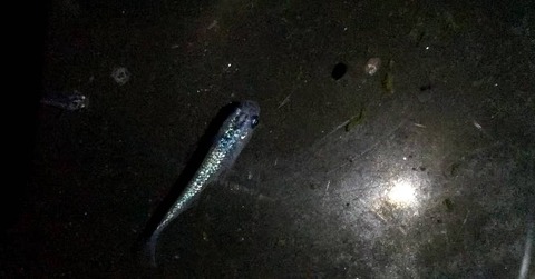 IMG_20210103_103712_652