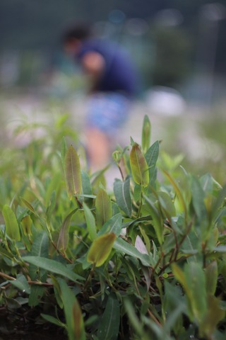 20190731121610_IMG_7892