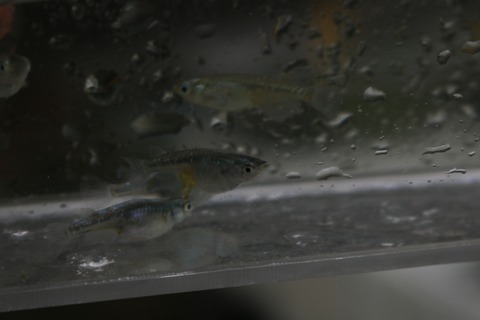 20180531171323_IMG_6041