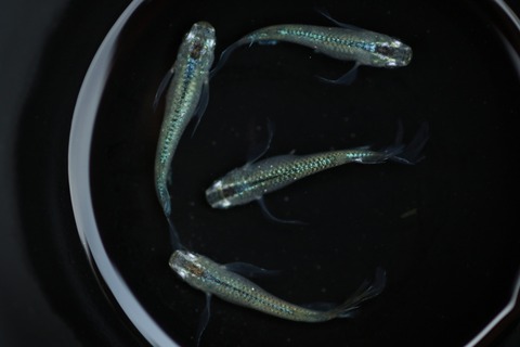 20190829120650_1V5A9614