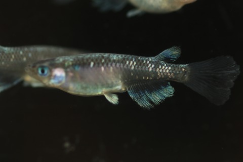 20200302160205_1V5A8251