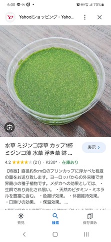 Screenshot_20231217-180025_Google