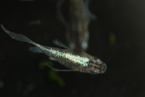 20200302160039_1V5A8236