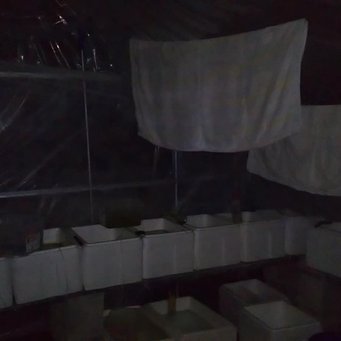 IMG_20200128_191547_798