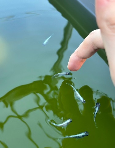 line_oa_chat_250616_120428~2