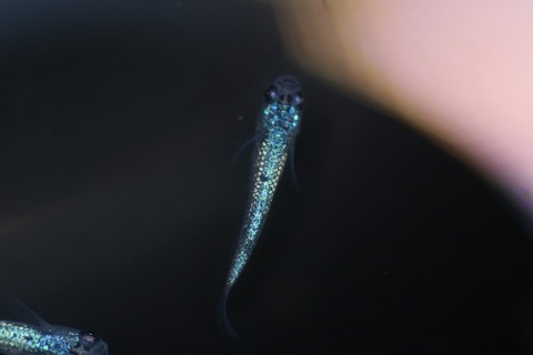 20220309114102_1V5A3452