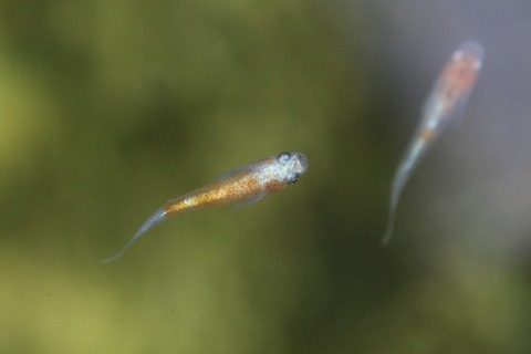 20191013105031_1V5A1641