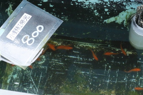 20210227095928_1V5A9890