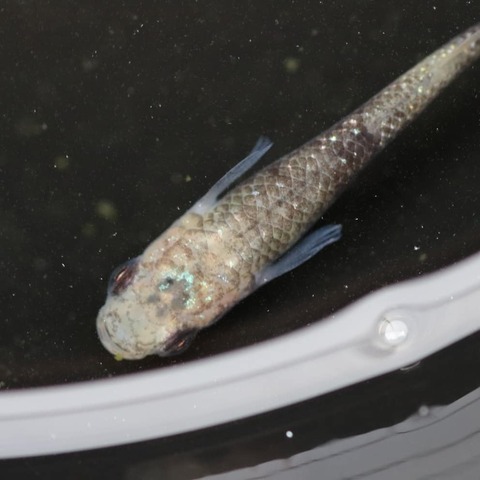 IMG_20200213_110936_209