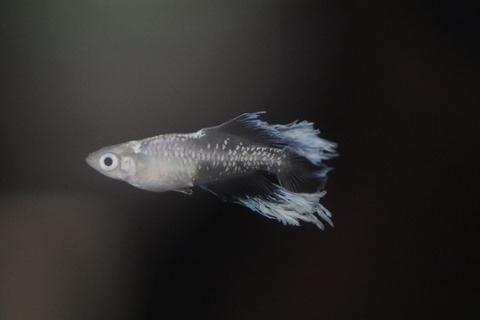 20191006102122_1V5A1538