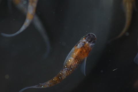 20200302161451_1V5A8328