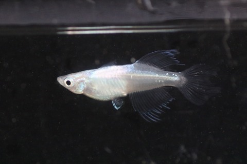 20190820181727_1V5A8960