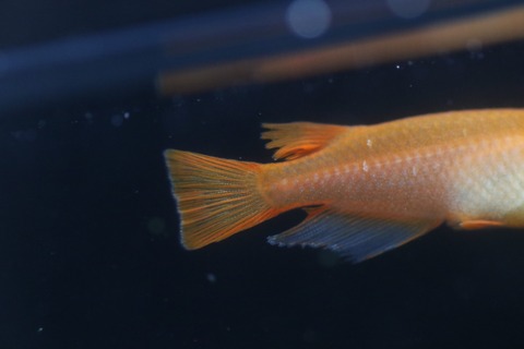 20190726181010_1V5A7801