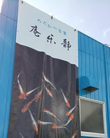 IMG_20191016_031757_941