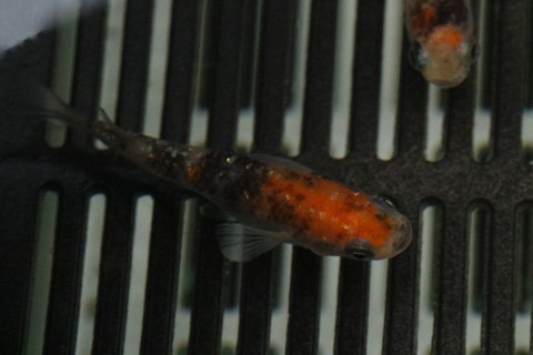 20210227095633_1V5A9882