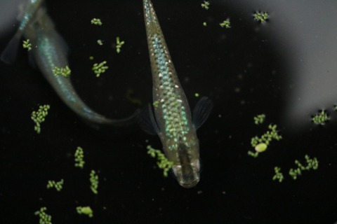 20181016173419_IMG_9768