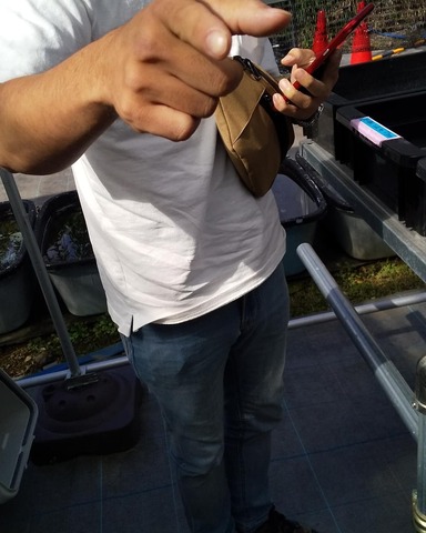 IMG_20191016_031757_994