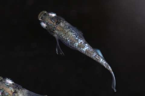 20190809182235_1V5A8656