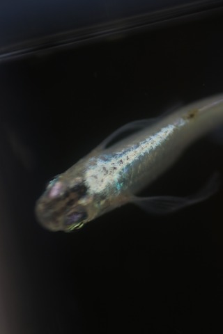 20190413122724_IMG_6199