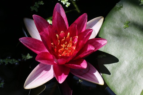 20190724095611_1V5A7653