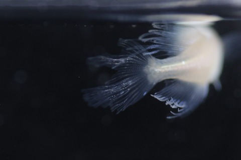 20190725121055_1V5A7693