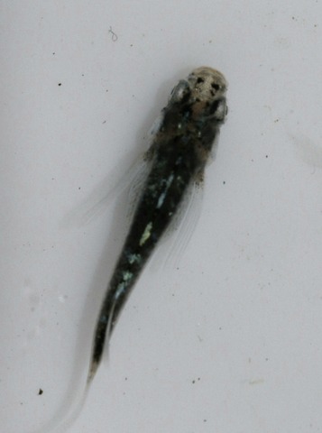 20220509180212_1V5A3587